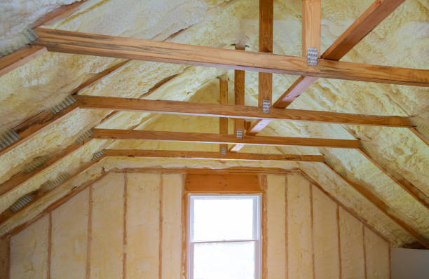 Best Cellulose Insulation in Uhland, TX