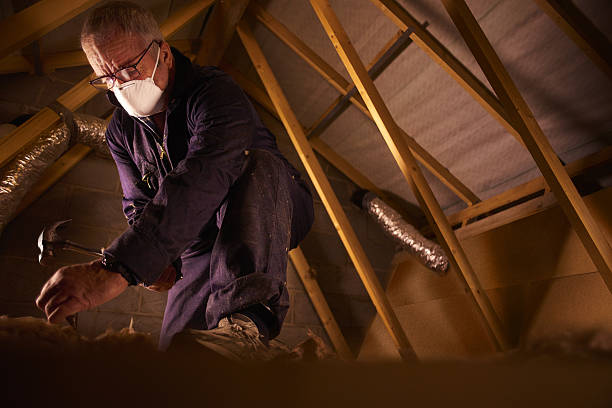 Best Spray Foam Insulation in Uhland, TX